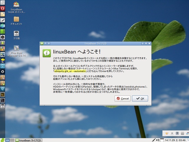 linuxBeanライブ起動後画面